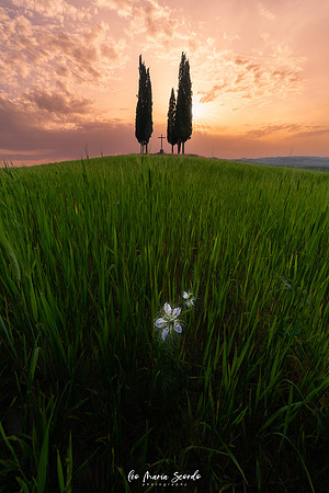 CROCE DI PRATA SUNSET