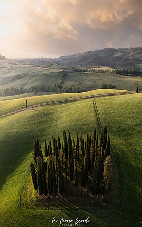 VERTORAMA CIPRESSAIO